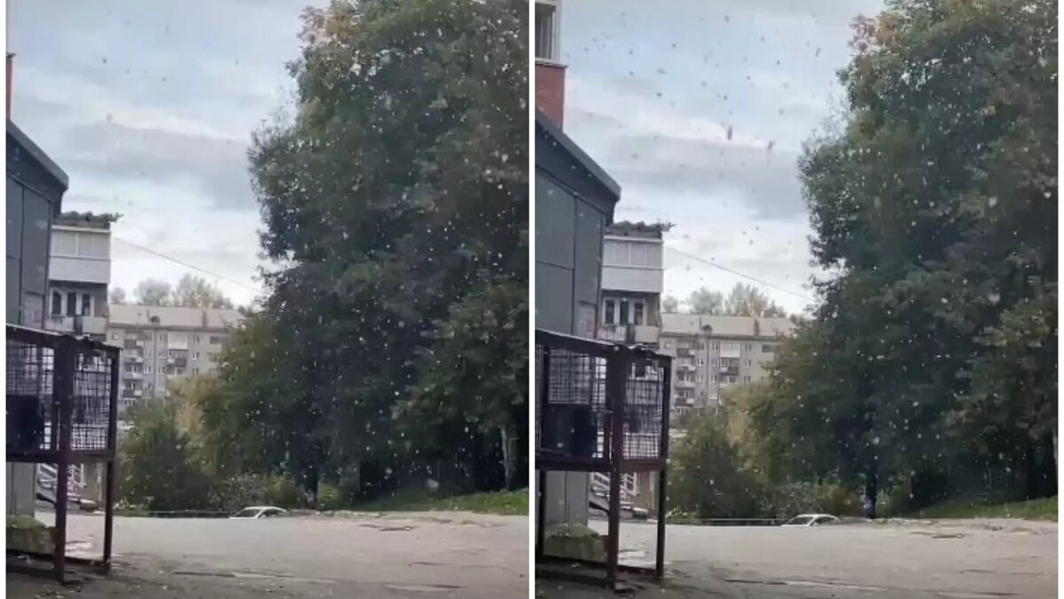     Источник: atas.info