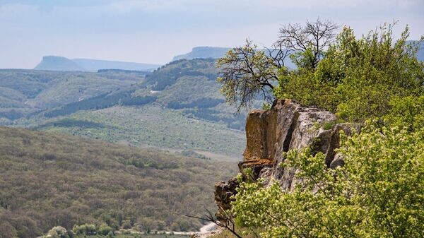    © РИА Новости Крым . Дмитрий Макеев