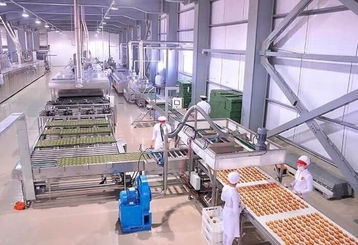 Процесс производства кондитерских изделий в Туркменистане