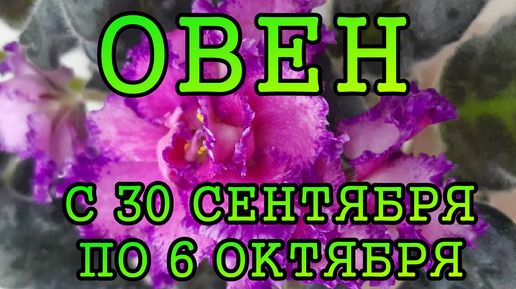 ОВЕН таро прогноз на неделю с 30 СЕНТЯБРЯ по 6 ОКТЯБРЯ 2024 года.