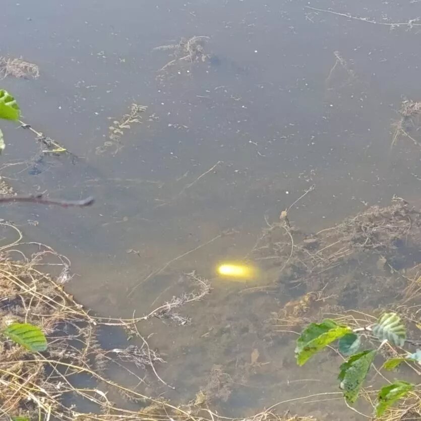 Фото: Поисково-спасательная служба Челябинской области