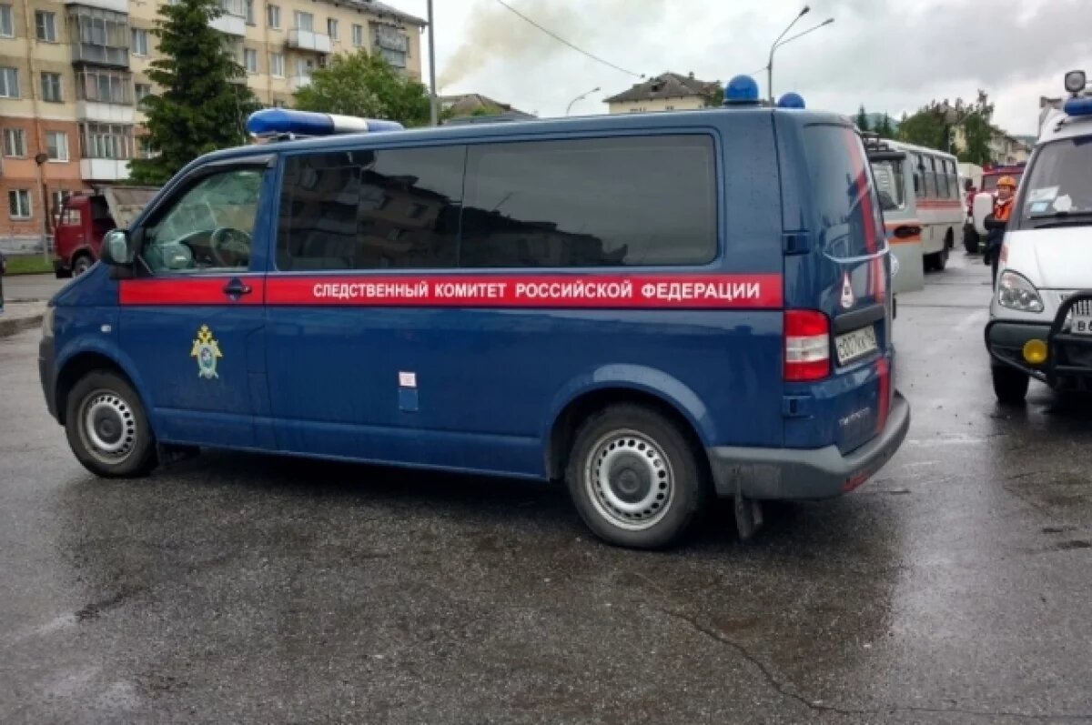    СК назвал две основные версии отравления детей в Красноярском крае