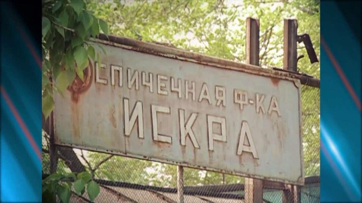 Фото из открытых источников сети Интернет