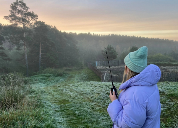 Фото: сайт Лиза Алрт 