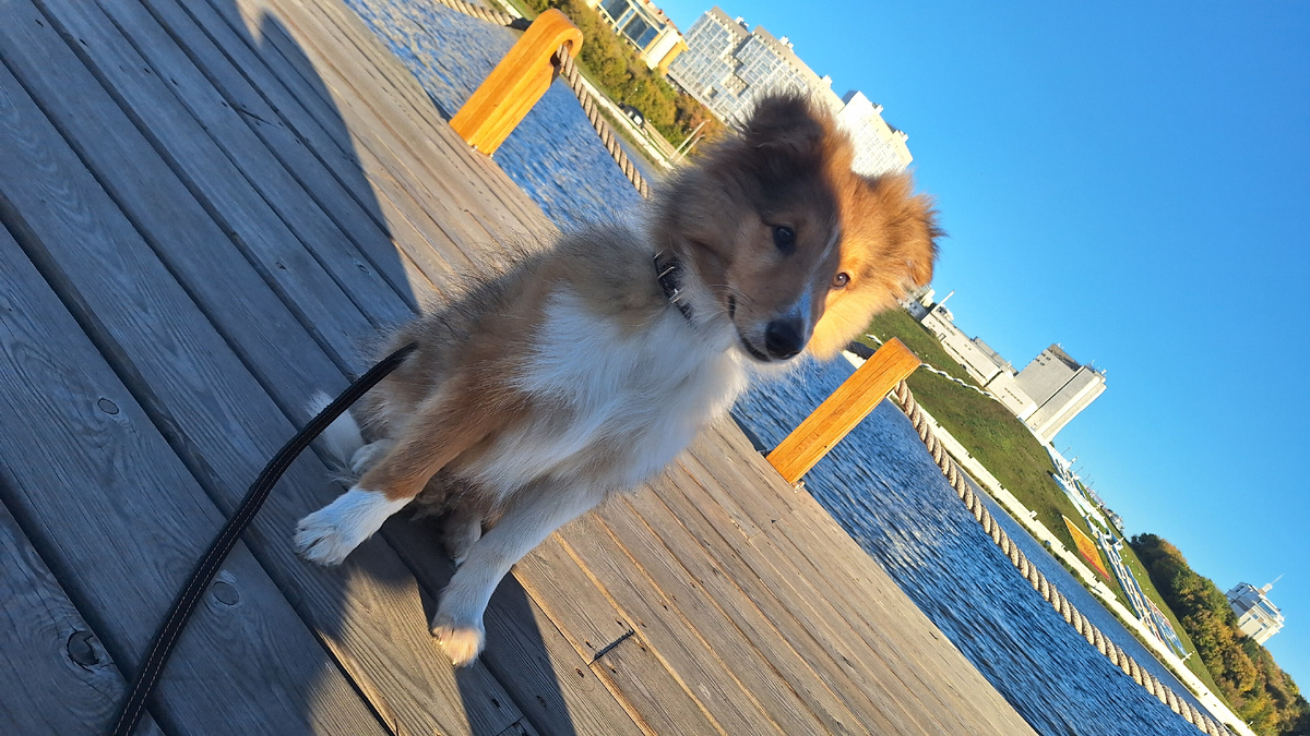 Я рядом с Заливом (22.09.2024)