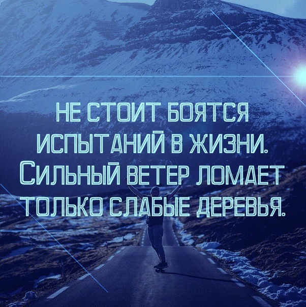 фото взято от открытого источника