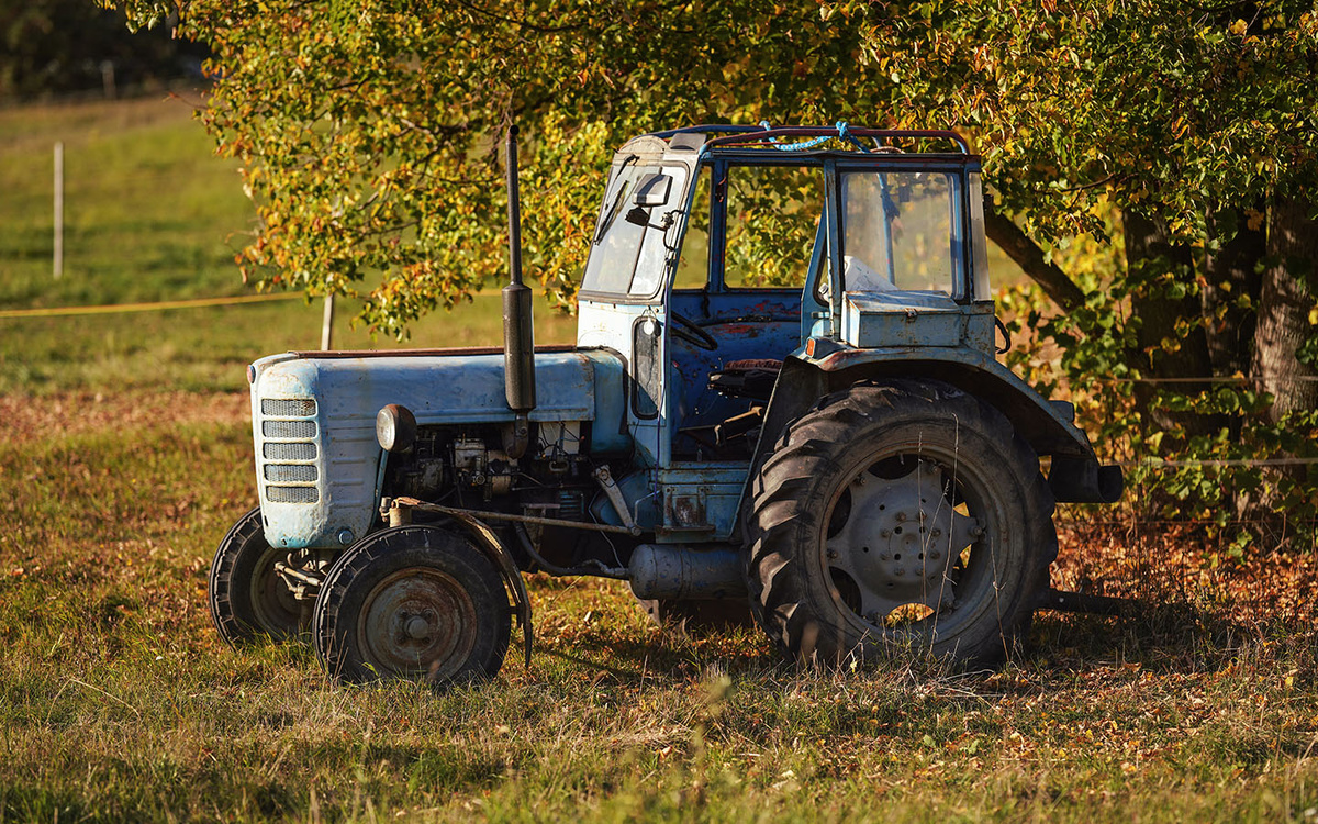    Lubo Ivanko / Shutterstock / FOTODOM
