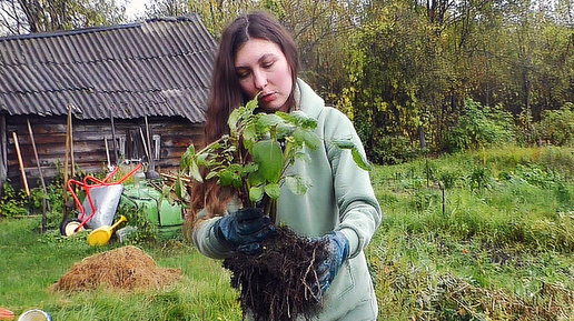 🏡 ДОМ В ДЕРЕВНЕ: НЕ ДЕЛАЙ ЭТИХ ОШИБОК! МЫ ТОЖЕ ЭТОГО НЕ ЗНАЛИ