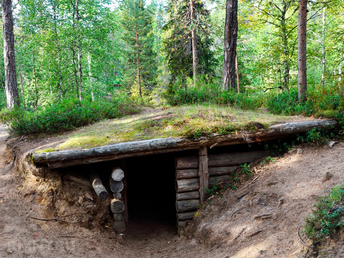 Изображение взято из открытого источника сети Интернет 