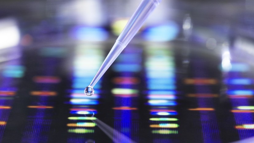   Gettyimages.ru TEK IMAGE / SCIENCE PHOTO LIBRARY