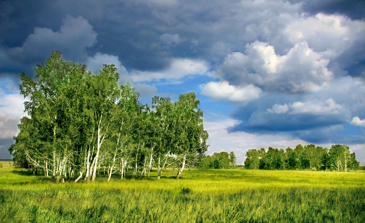 Фотография, стихотворение Василия Глуцкого