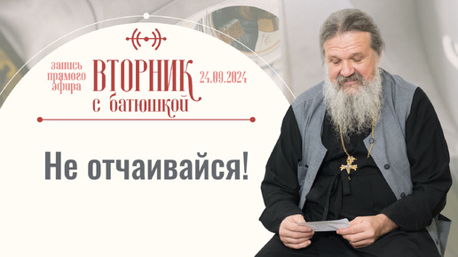 Как найти подход к человеку? Вторник с батюшкой. Беседа с прот. Андреем Лемешонком 24 сентября 2024