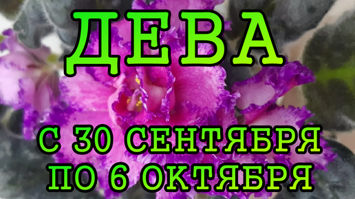 ДЕВА таро прогноз на неделю с 30 СЕНТЯБРЯ по 6 ОКТЯБРЯ 2024 года.