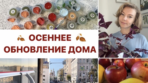 Download Video: ЗВОНКАЯ ЧИСТОТА ОСЕНИ 🍂 ухаживаю за цветами, убираюсь на кухне, яблочные вкусы 🍎