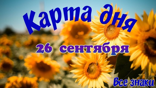 Карта дня🍒26 сентября🌞 Пасьянс. Тайм-код в описании🦢