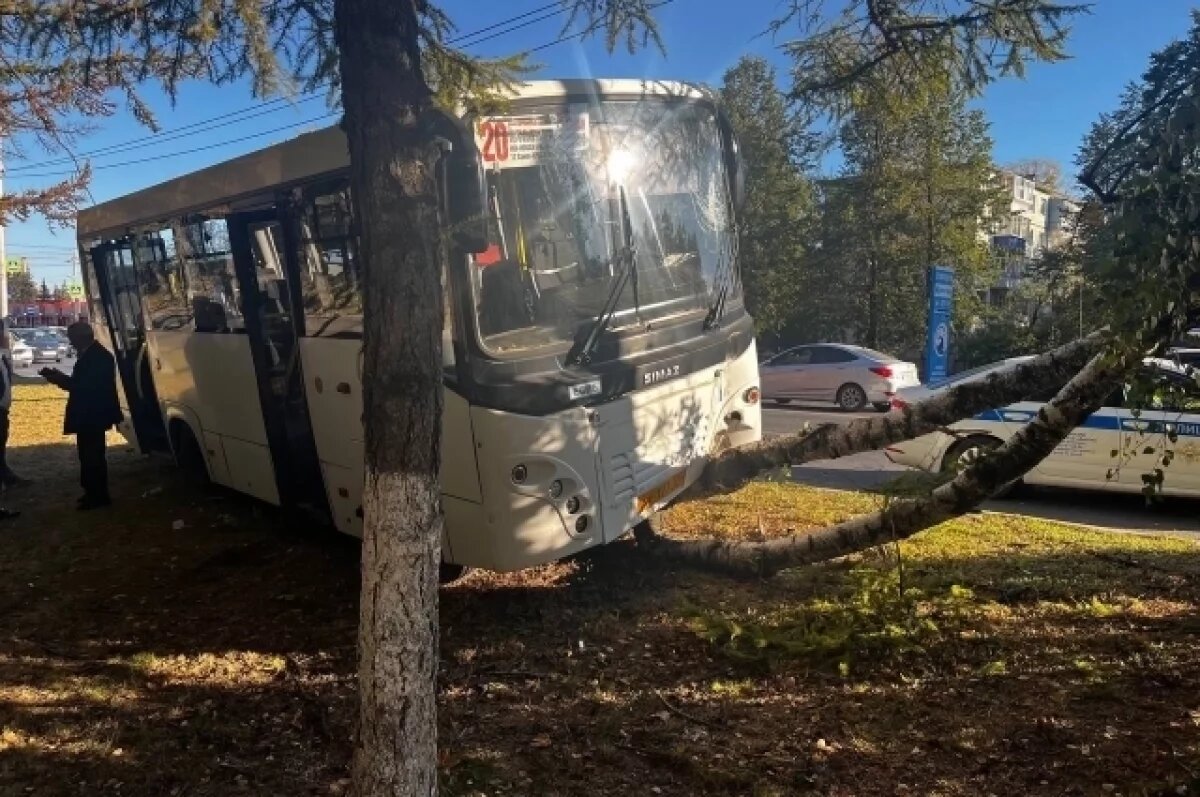    После ДТП на Московском шоссе двух пассажирок автобуса госпитализировали