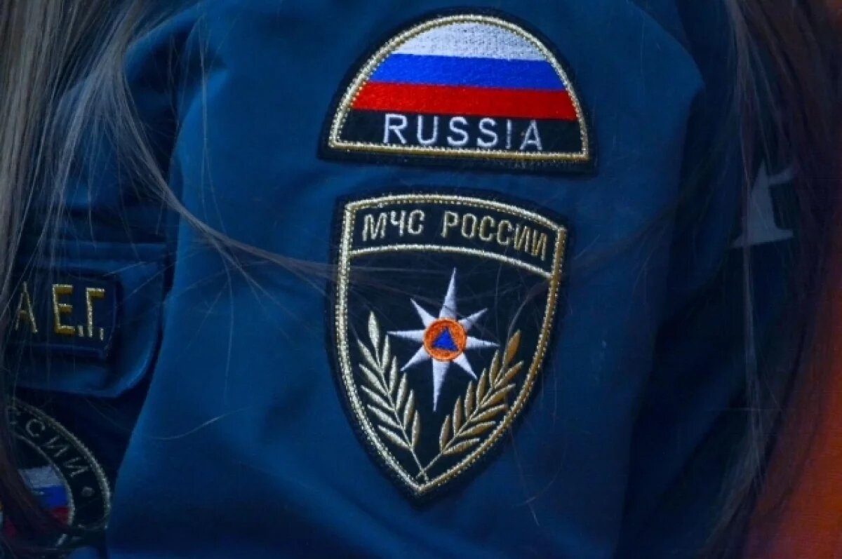    Легкомоторный самолет совершил жесткую посадку в Тамбовской области