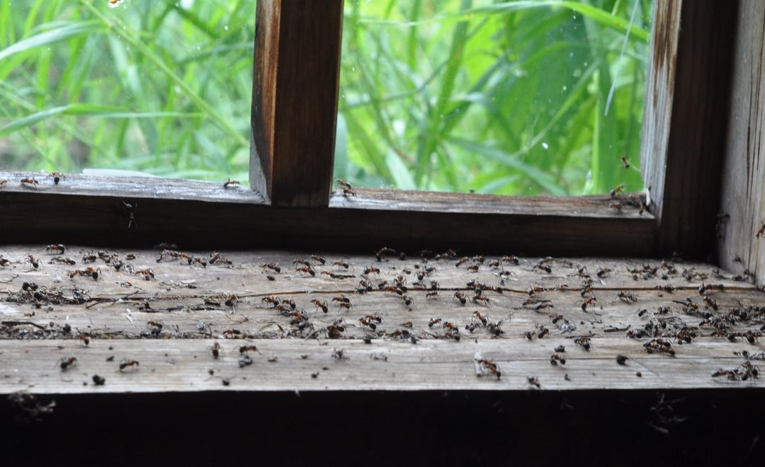 фото из интернета