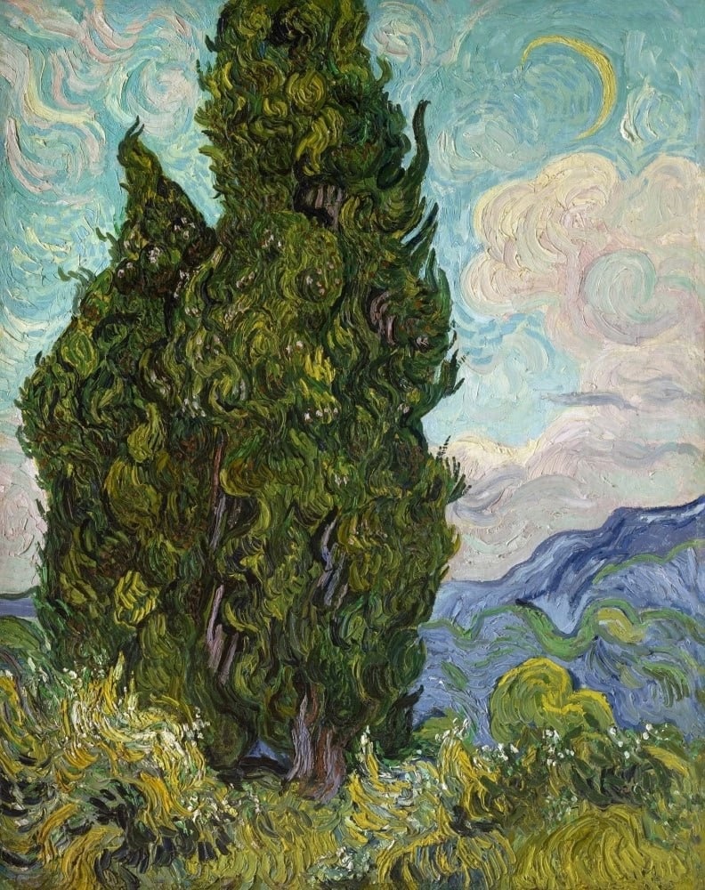 «Кипарисы» (фр. Les Cyprès) — картина Винсента Ван Гога, написанная в 1889 году в Сен-Реми-де-Прованс.

На полотне изображена пара кипарисов на фоне французского пейзажа.

Размеры: 93,4 × 74 см.

Техника: холст, масло.

Стиль: постимпрессионизм.

С 1949 года картина находится в собрании Метрополитен-музея в Нью-Йорке.

Полотно было представлено на выставке Общества независимых художников в Париже в 1890 году.