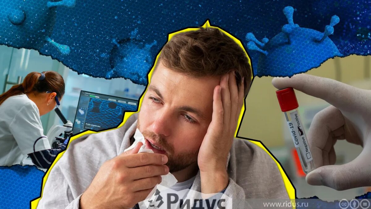    © Илья Бельков / Коллаж / Ridus.ru