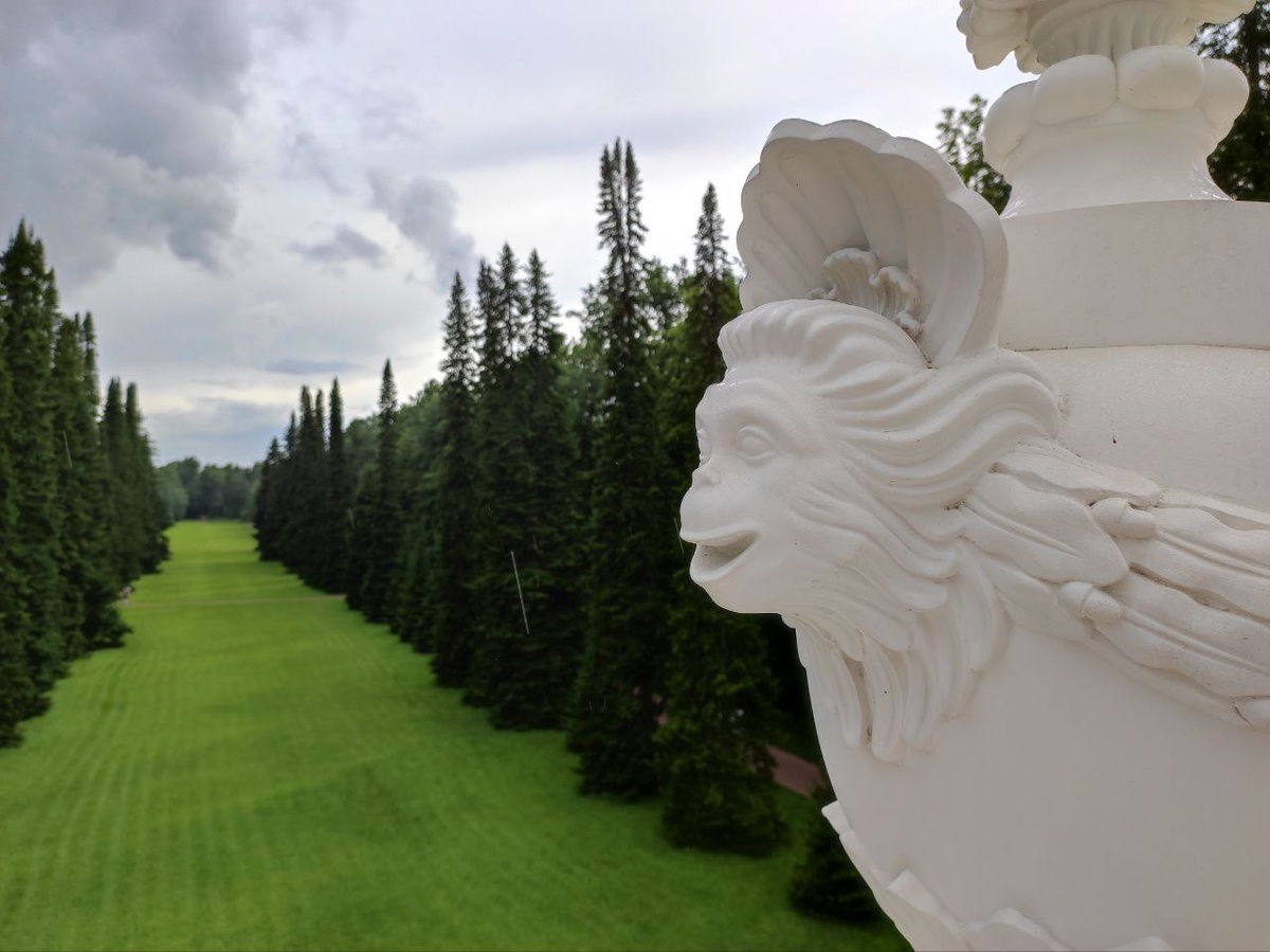 Ораниенбаум. Вид с Павильона катальной горки. Вместо газона рань