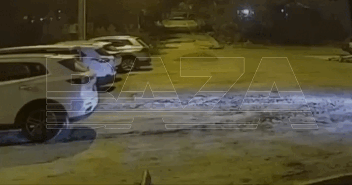    Фото: t.me/bazabazon/31536