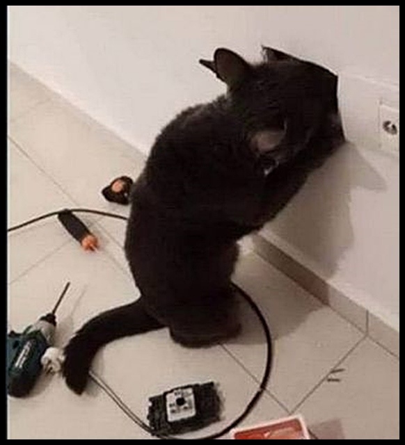 Счас систему безопасности подключу, и не один вор не войдет!