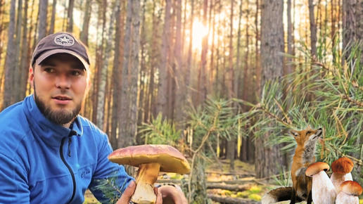 Ещё не достроил УЖЕ ЛОМАЮ! В БЕЛОРУССКОМ лесу🌲 чего только не ВСТРЕТИШЬ! Часть 1 😉