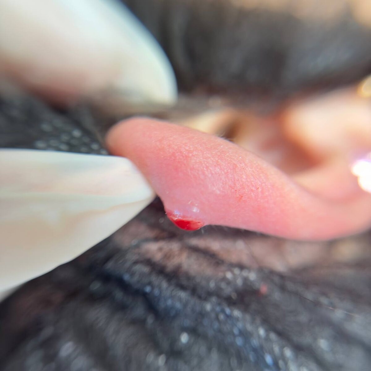 1. Украшение не стерильное
2. Ювелиры не примеры и они вообще не в курсе каким должен быть правильным лабрет, какая должна быть длина и диаметр… они не знают что вообще такое лабрет
3. Эта ужасная накрутка жуть как сдавливает ткани, образуя воспаление, врастание и другие ужасы.