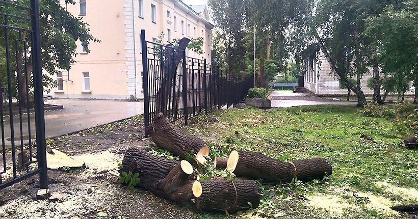 Когда на пути у забора встаёт дерево, то страдает последнее. Надеемся, что колледж высадит новые деревья взамен срубленных.  