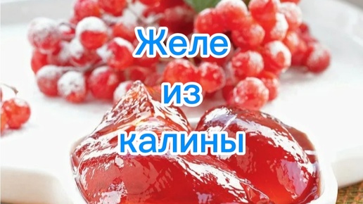 Желе из калины