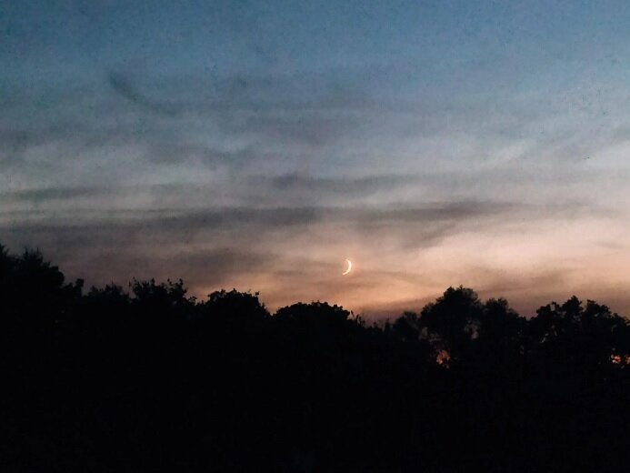 Фото автора. Для иллюстрации