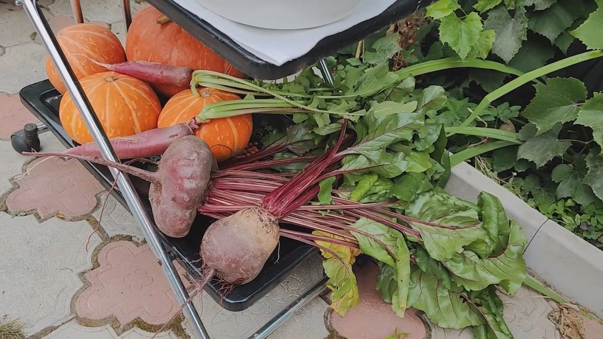 Свекла  – рекордсмен по концентрации бора и марганца. По содержанию железа она уступает только чесноку