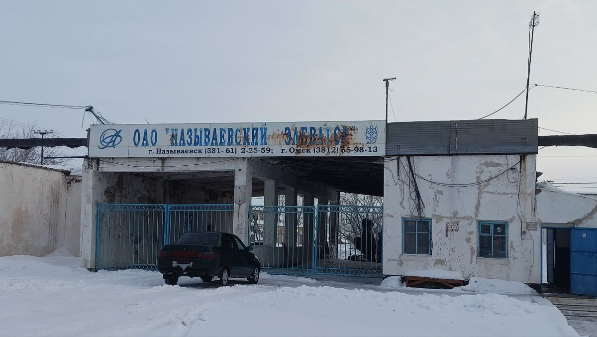 Финансовый коллапс: что привело к банкротству элеватора в Омской области