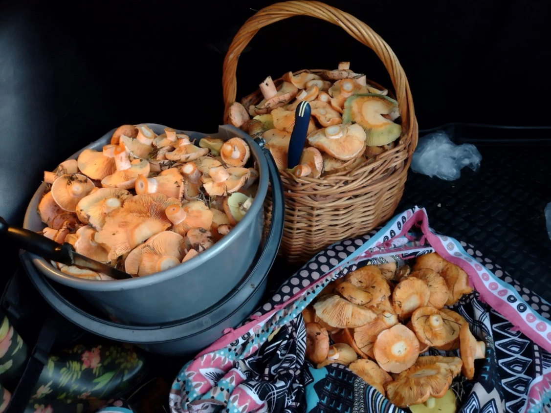 Автор фото Наталия Войнова