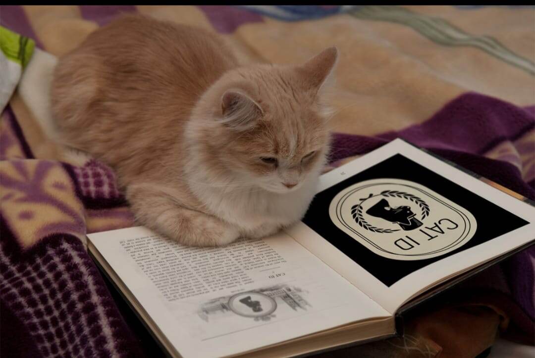 CAT ID международная фелинологическая ассоциация ассоциация. Для оформления документов на кошку, метрик на котят, регистрации питомника, обращайтесь в ватс апп по номеру 8 993 261 9580 или на почту catid@inbox.ru