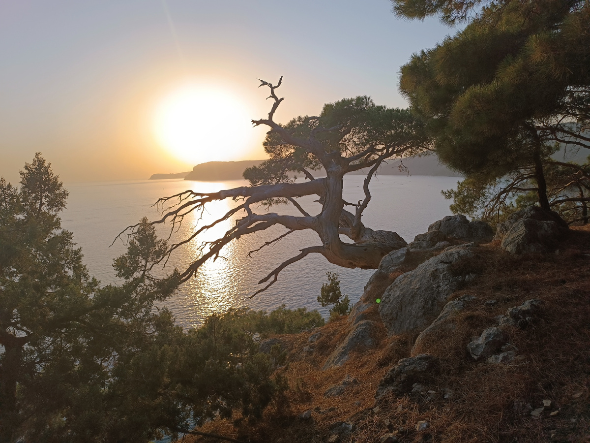 Закат в краю пушистых дубов и сосен 