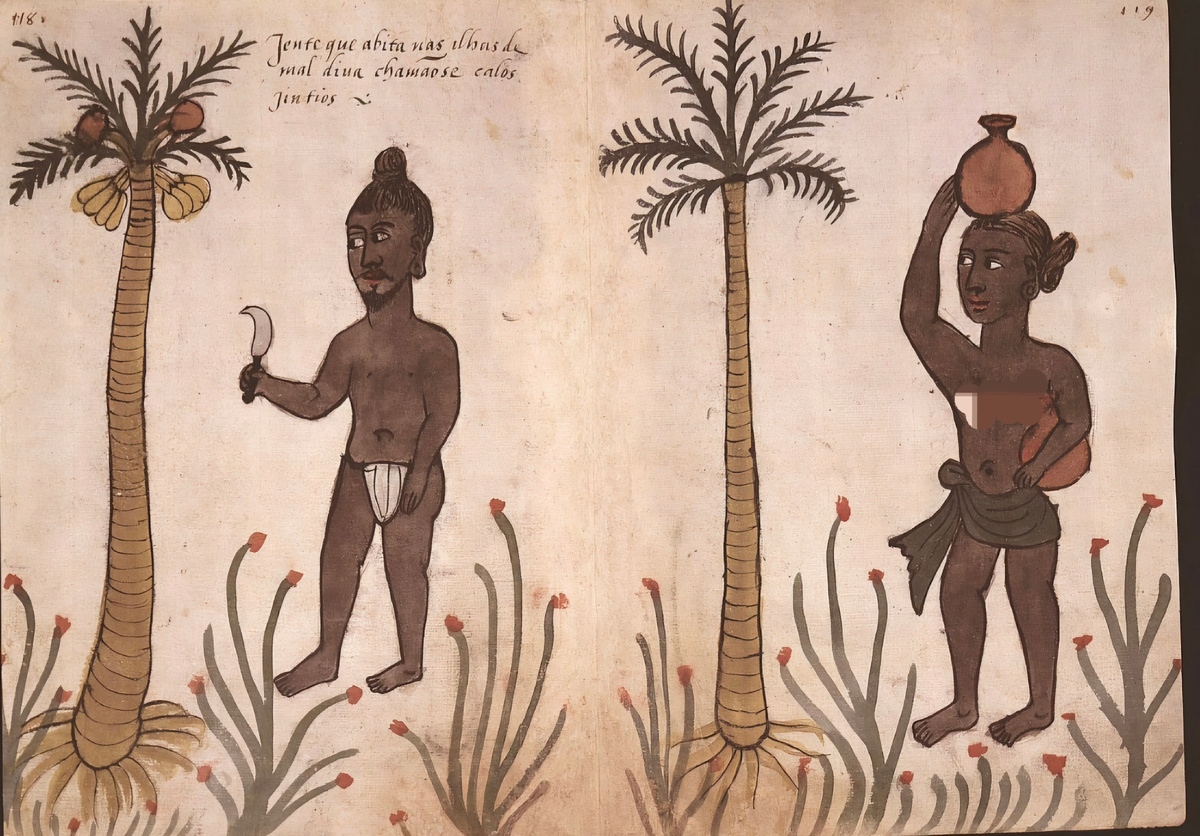 Анонимная португальская иллюстрация 16, изображающая жителей Мальдивских островов. Надпись гласит: «народ, населяющий Мальдивы, называется Калос»