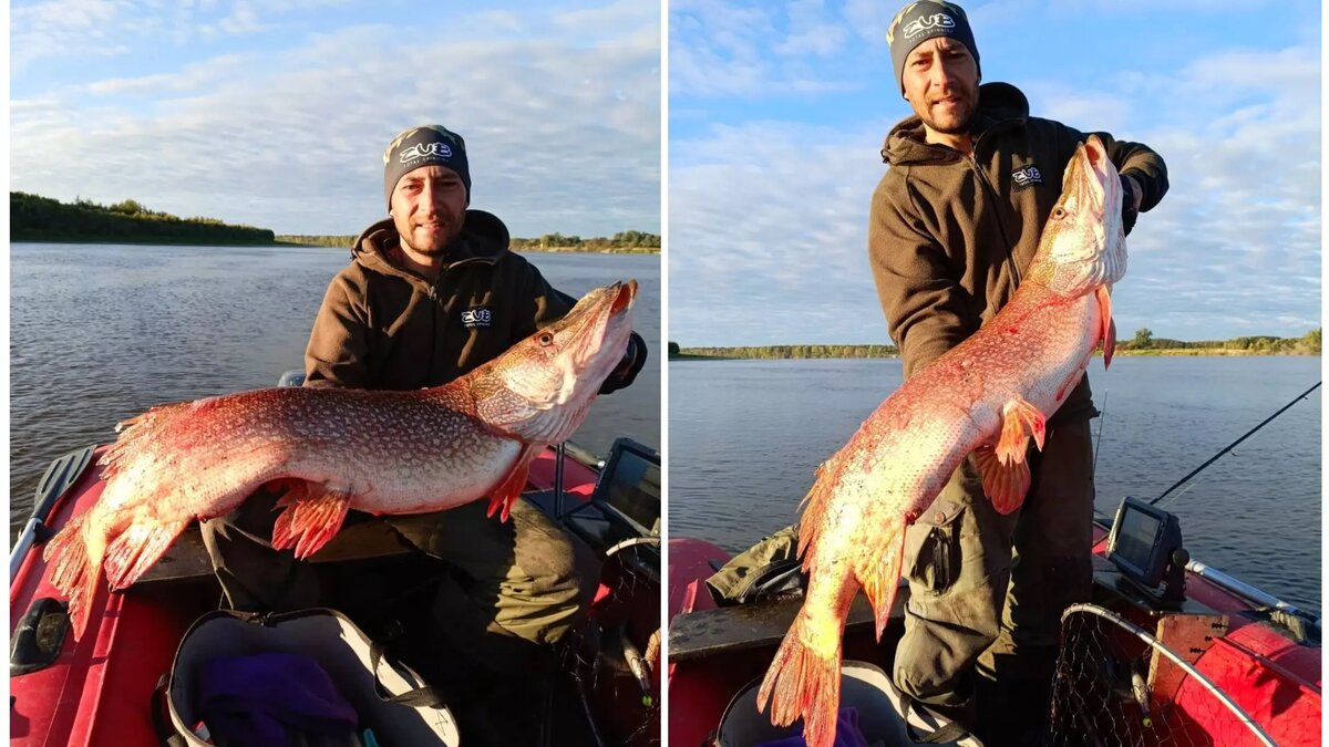     Автор: Александр Серых Источник: vk.com/fishingsibru