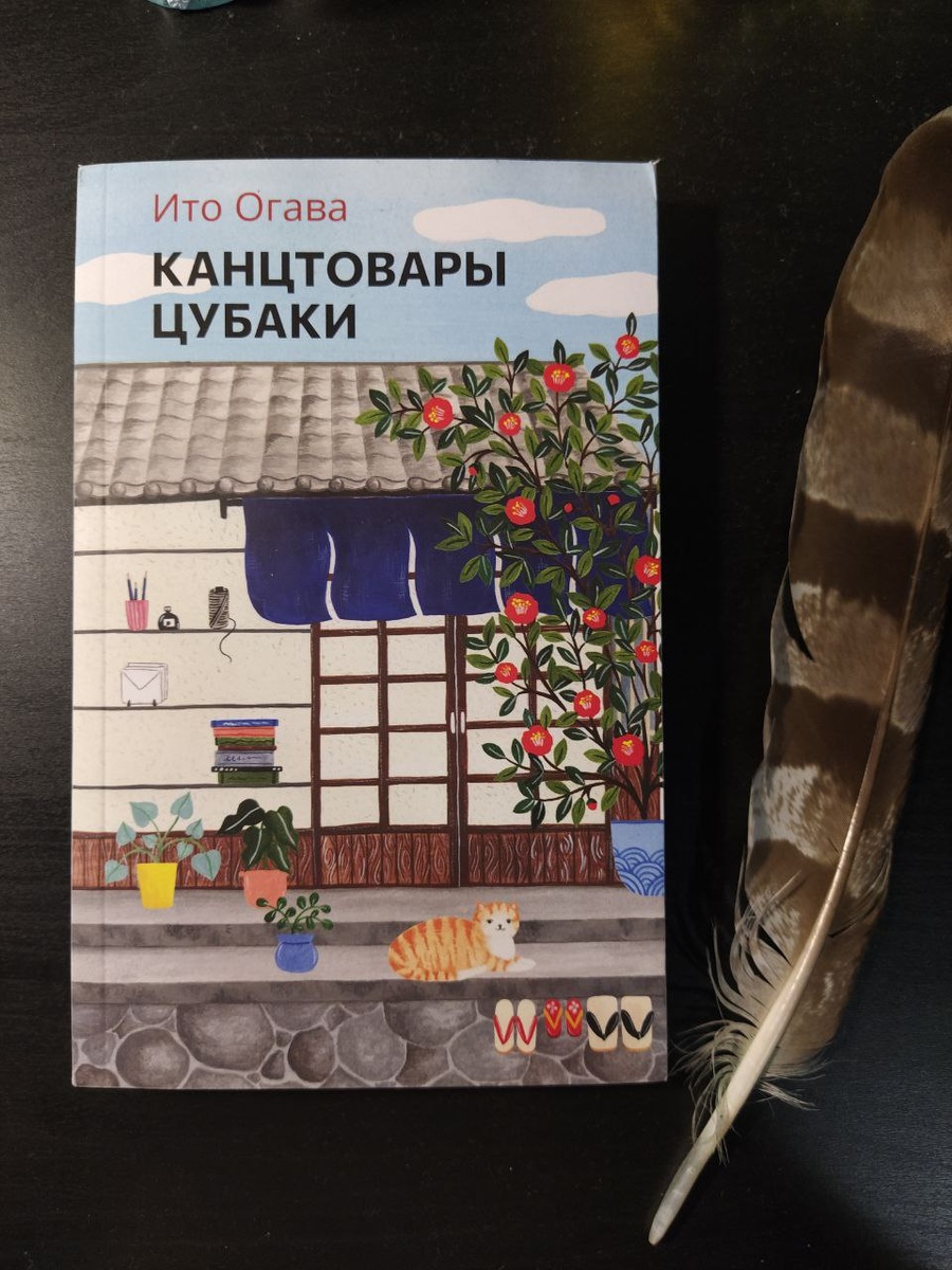Найди котика