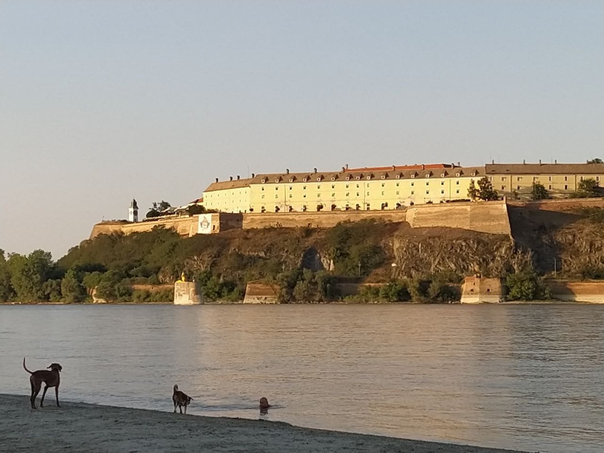 На Дунае