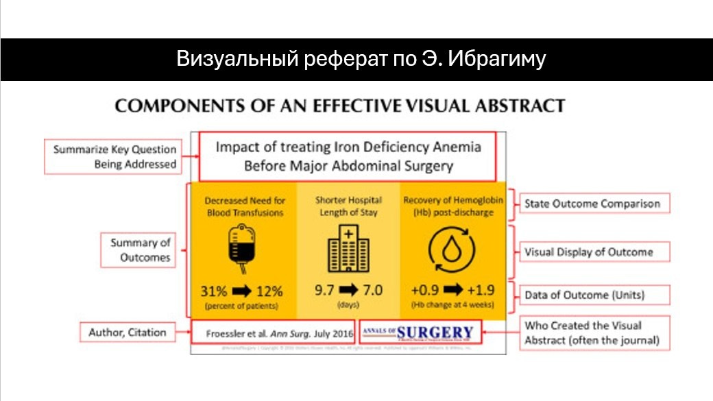Формат графического реферата по Э. Ибрагиму