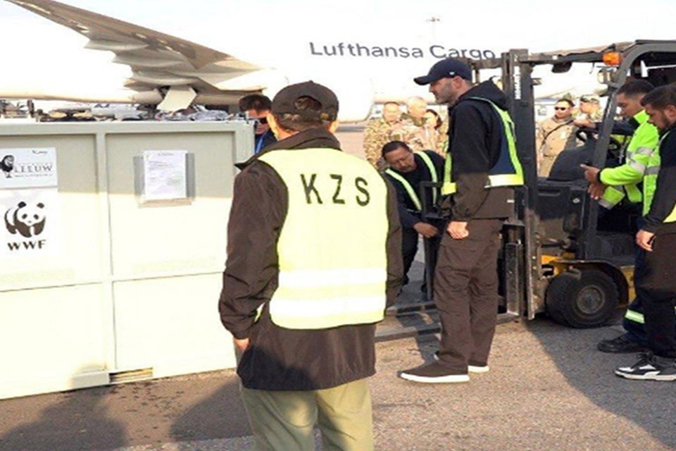 Открытый источник