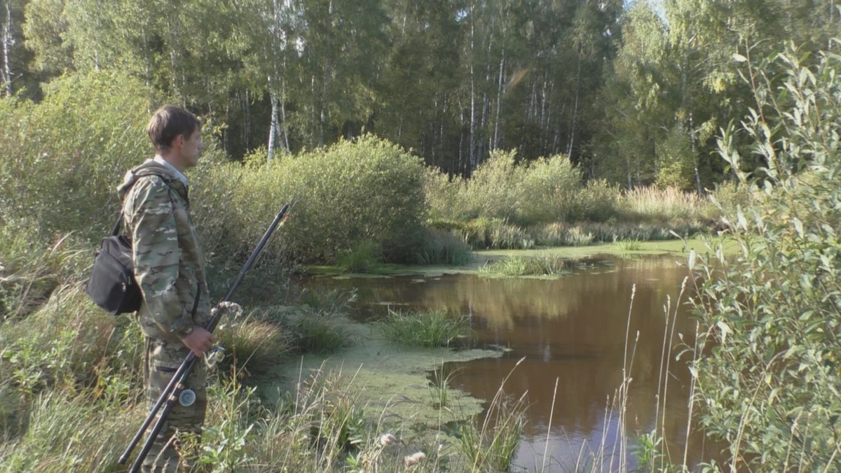 На берегу лесного пруда