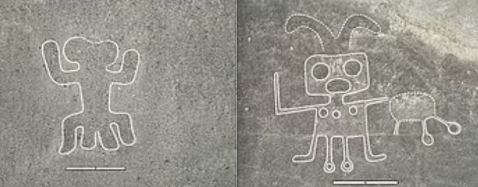    Странные существа на четырех ногах.