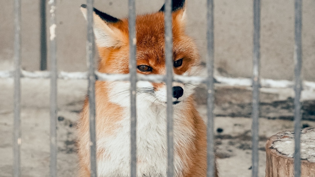 Светлана Мулыкина📷
