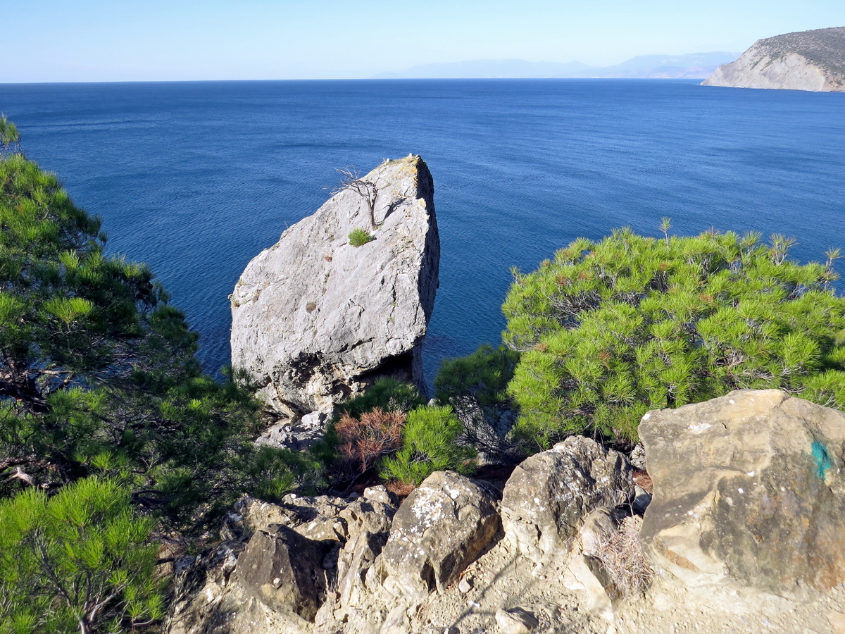 Листайте галерею.