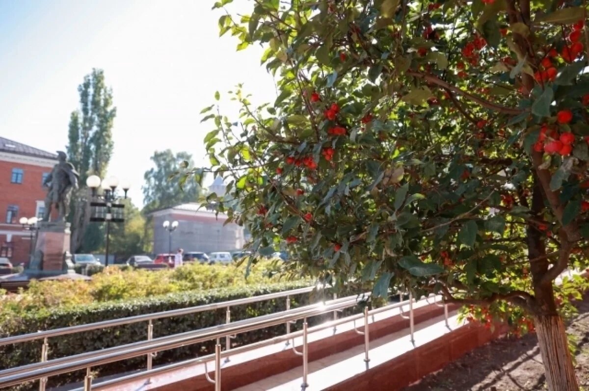    Зачатская площадь может появиться у стен Нижегородского кремля