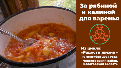 За рябиной и калиной. 