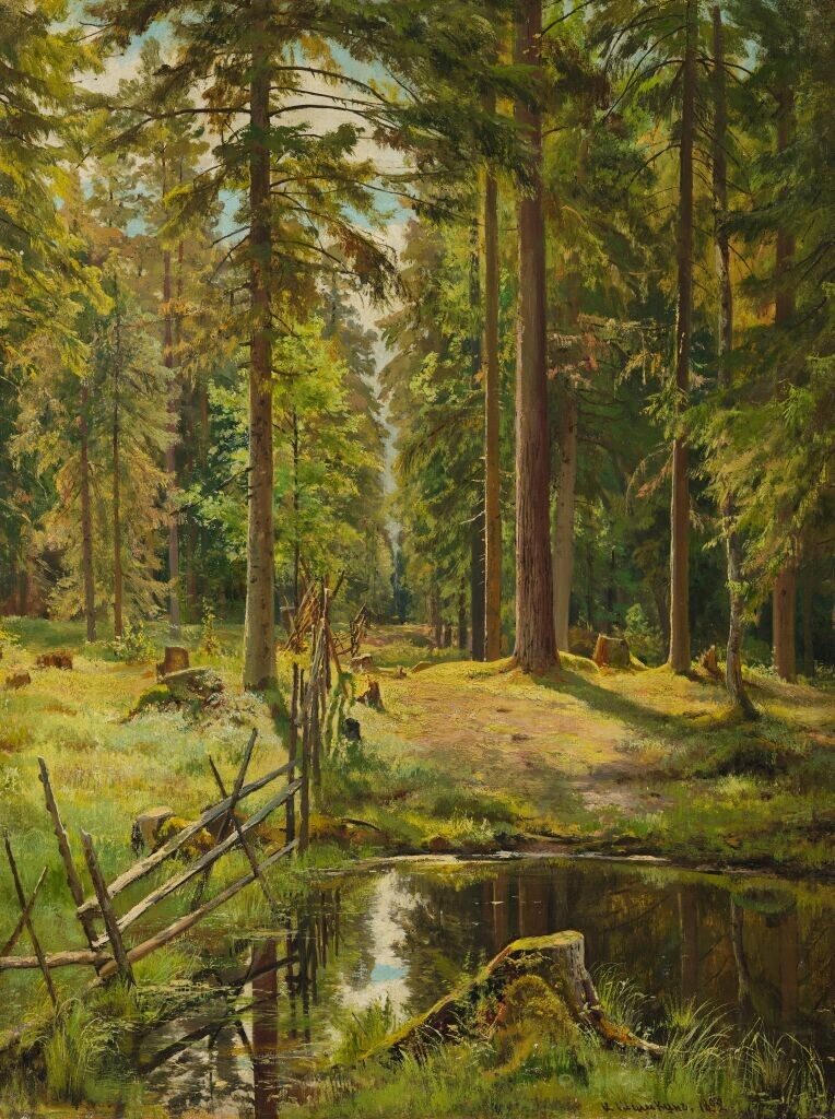 И.Шишкин. Еловый лес